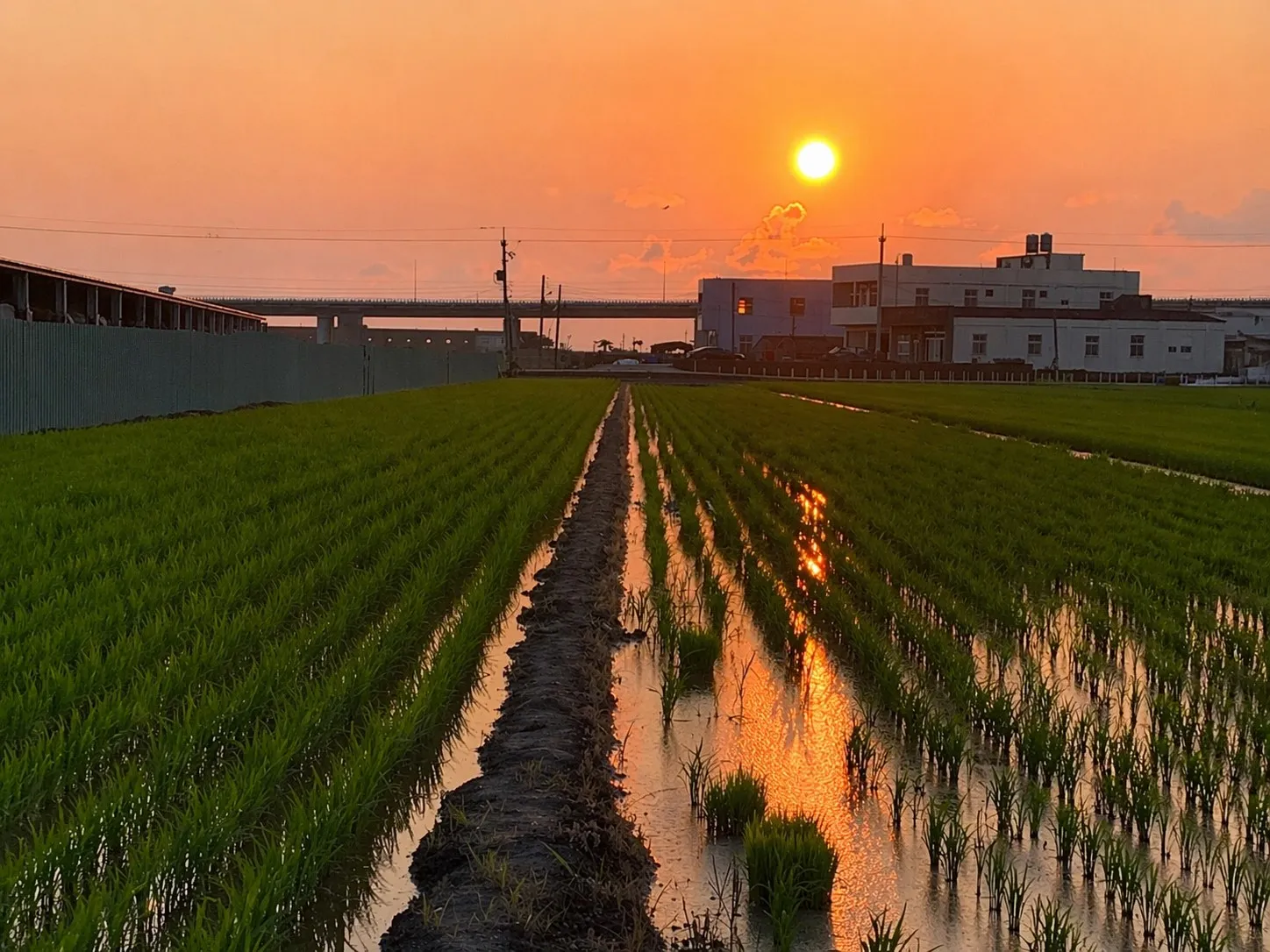 🌿 拾光日常｜春耕的那道光