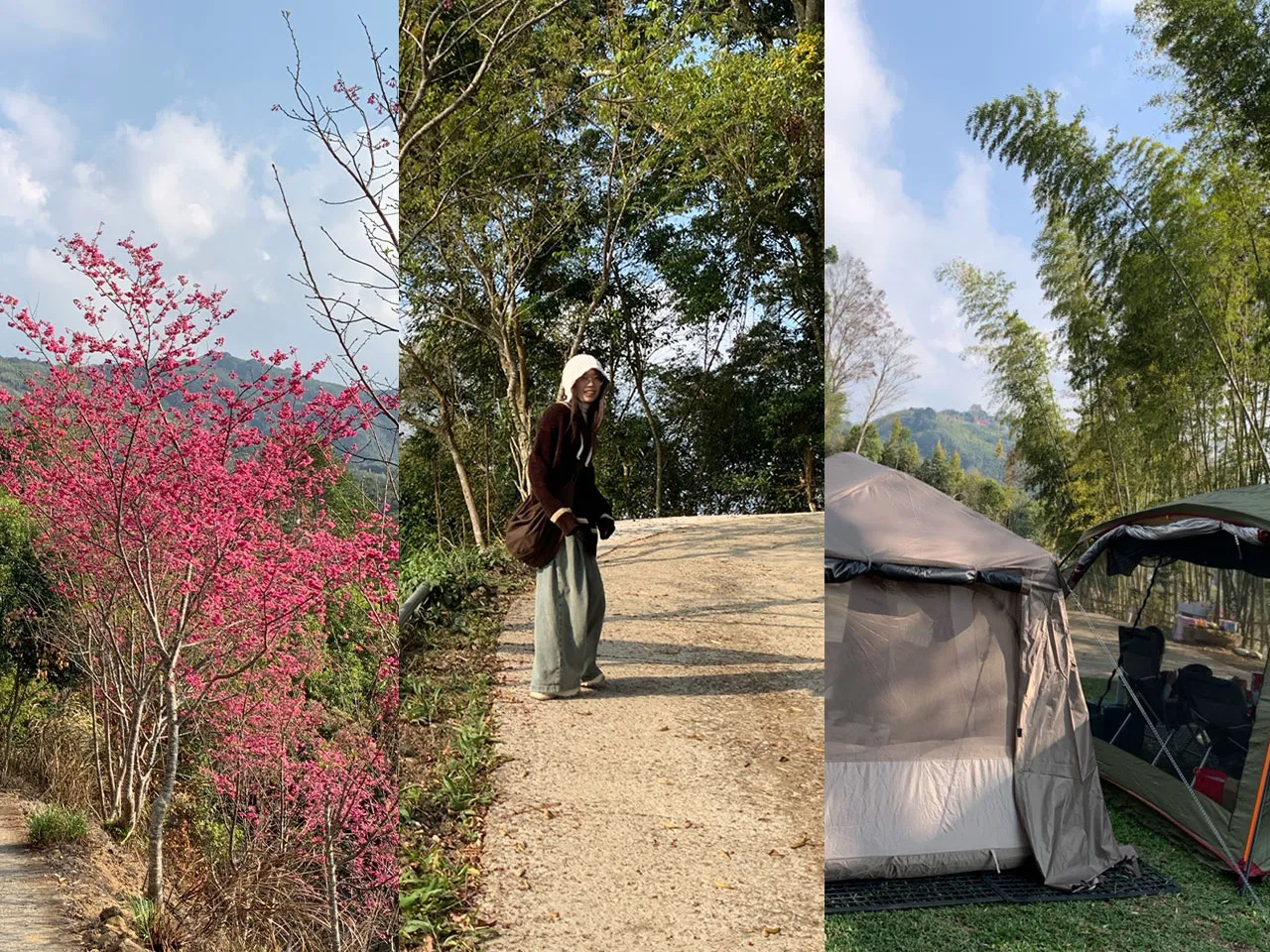 苗栗泰安露營｜高熊卡山語林露營區
