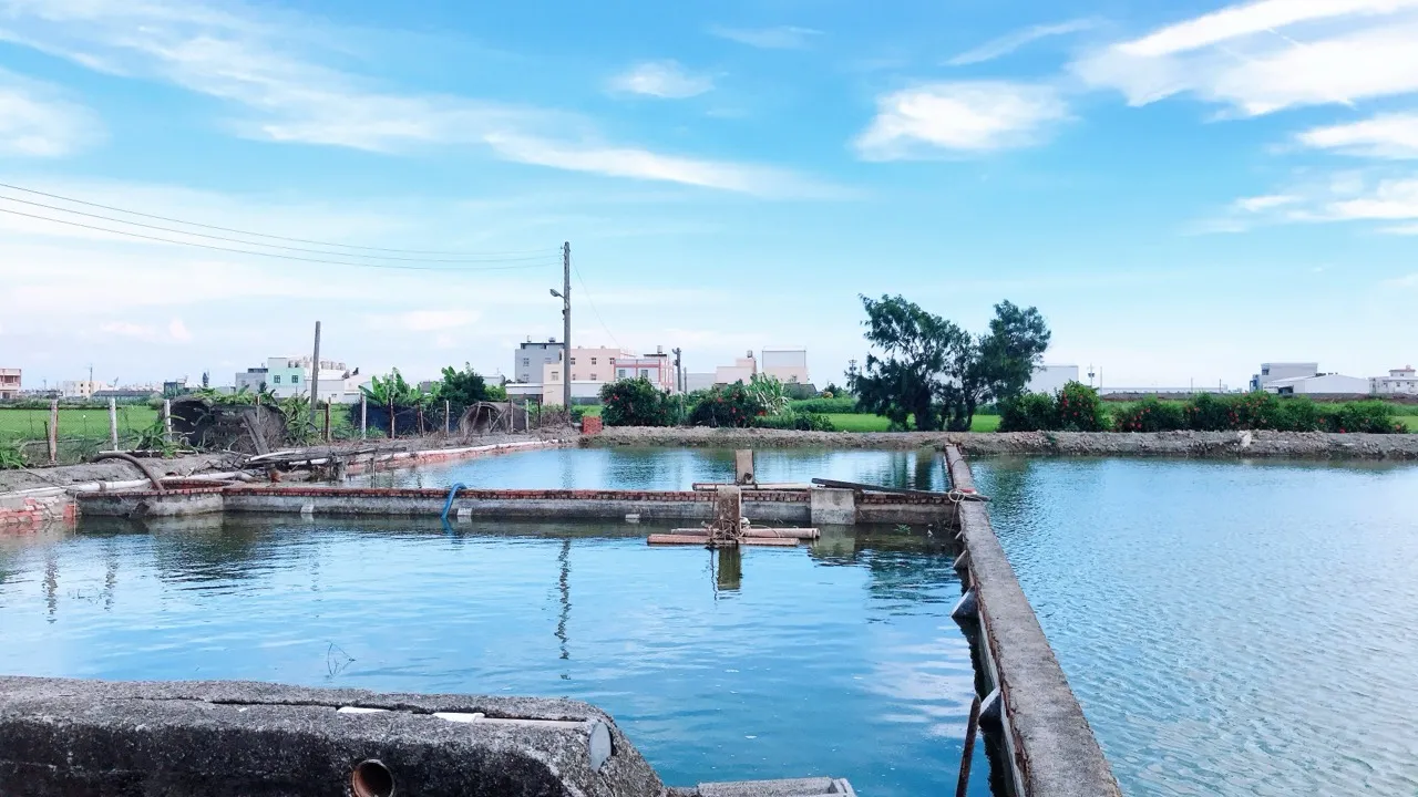 🌿 拾光日常｜開場