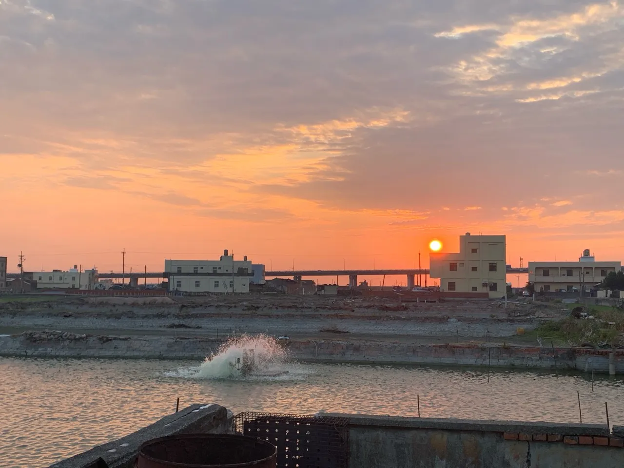 🌿 拾光日常｜養蝦生活