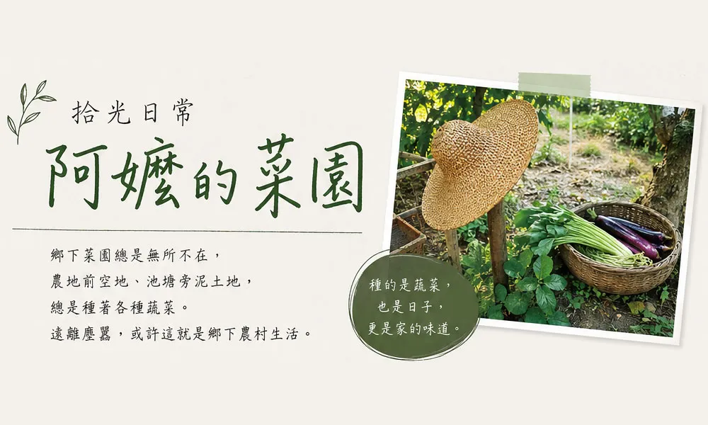 🌿 拾光日常｜阿嬤的菜園